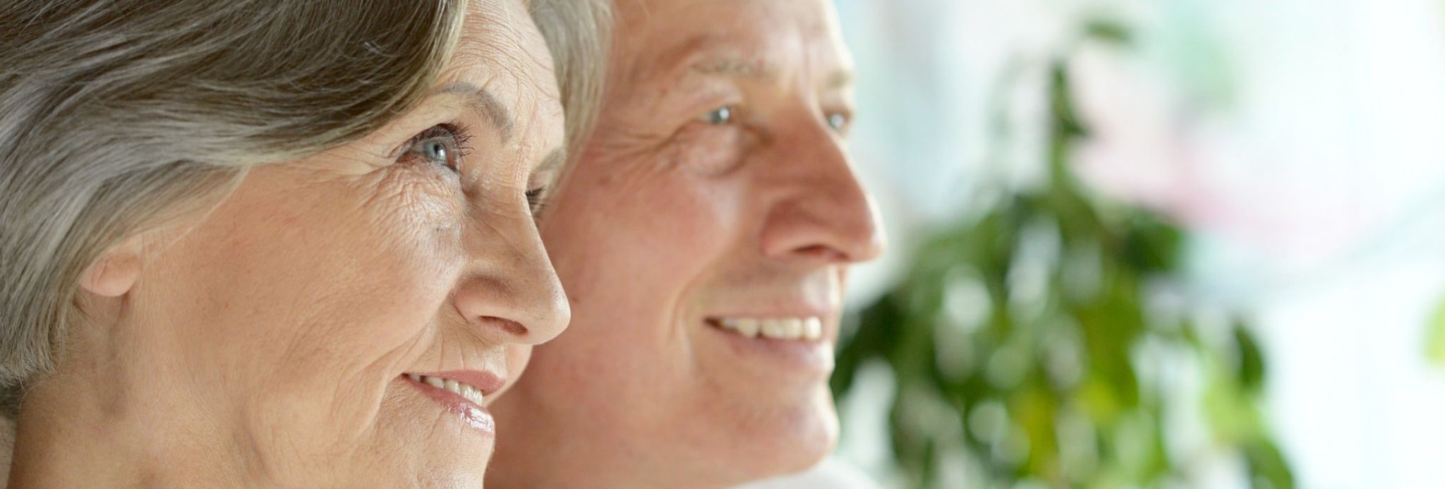 EL DÍA DE LOS ABUELOS: LA IMPORTANCIA DE SUS CUIDADOS