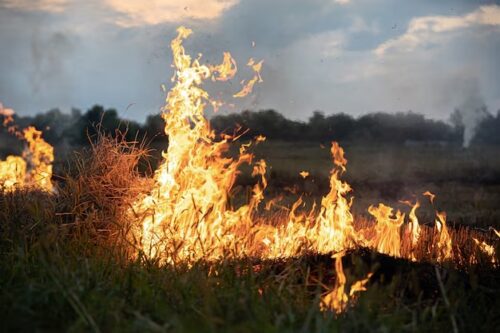 Local comercial afectado por un incendio, reflejando la necesidad de un seguro de incendio para empresas con el respaldo y asesoría de Prodeseg.